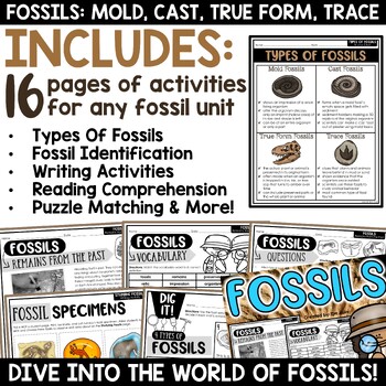 Types of Fossils Activities Worksheets Reading Comprehension Escape ...