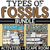 Types of Fossils Activities Worksheets Reading Comprehensi