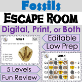 Types of Fossils Activity Geology Digital Escape Room Game