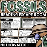 Types of Fossils Activity Worksheet Reading Comprehension 