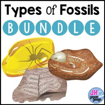 Preview of Fossils BUNDLE