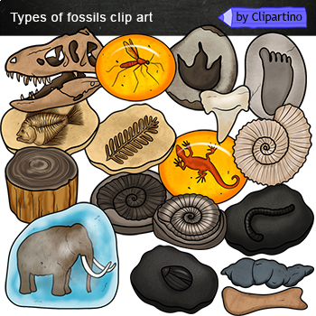 Preview of Types of Fossils Clip Art Commercial use