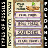 Types of Fossils Foldable - Great for Earth Science Intera