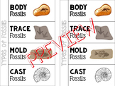 Types of Fossils Foldable for Interactive Notebook