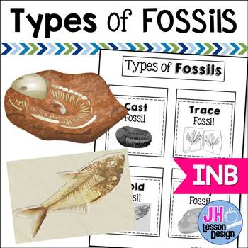 Fossils Interactive Notebook Activity by JH Lesson Design | TpT