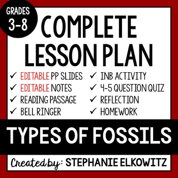 Preview of Types of Fossils Lesson | Printable & Digital