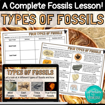 Preview of Types of Fossils Lesson with Google Slides, Notes, Worksheet, and Answer Key