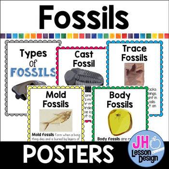 Preview of Types of Fossils Posters