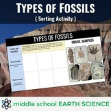 Types of Fossils - Sorting Activity