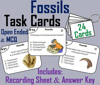 Preview of Types of Fossils Task Cards Activity (Earth Science: Geology Unit)