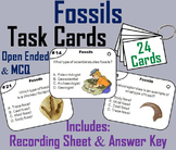 Types of Fossils Task Cards Activity (Earth Science: Geolo
