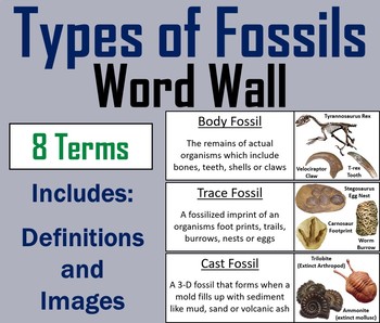 Preview of Types of Fossils Word Wall Cards (Earth Science: Geology Unit)