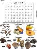Types of Fossils Activity: Word Search Worksheet (Earth Sc
