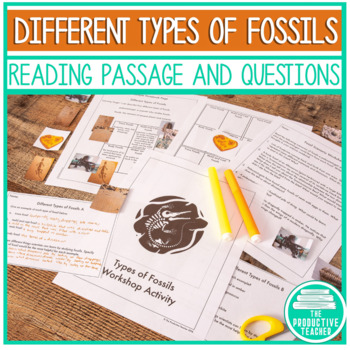 Types of Fossils Workshop Lesson by The Productive Teacher | TpT