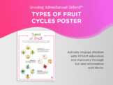 Types of Fruit Poster, Horticulture, Classroom Poster, STEAM