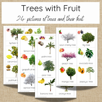 Preview of Types of Fruit trees