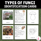 Types of Mushroom Fungi Montessori 4 part cards