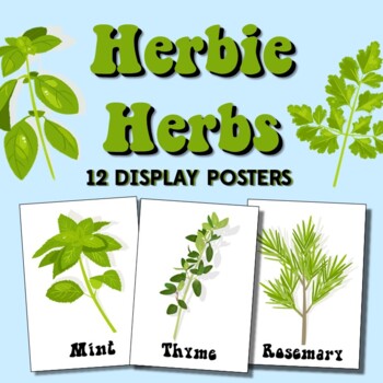 Preview of Cooking Herbs | Family and Consumer Science | FCS | Food Technology