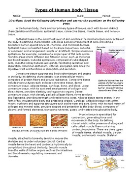 Preview of Types of Human Body Tissue: Informational Text, Images, and Assessment