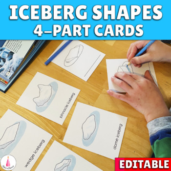 Preview of Types of Icebergs Montessori 4 part Cards | Iceberg Shapes Activity