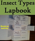 Types of Insects Activity: Interactive Notebook Foldable/ 