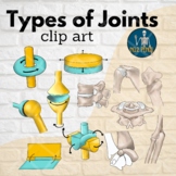 Types of Joints Anatomy Clip Art, Synovial Joints