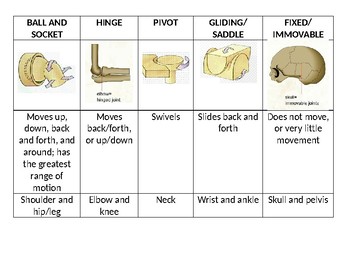 Location and types of joints [1].