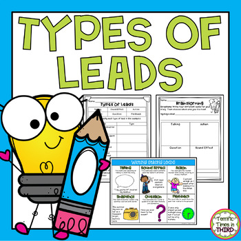 Preview of Types of Writing Leads: Posters and Practice Pages