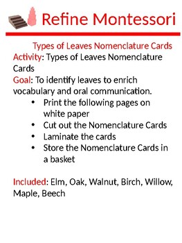 Preview of Types of Leaves Nomenclature Cards