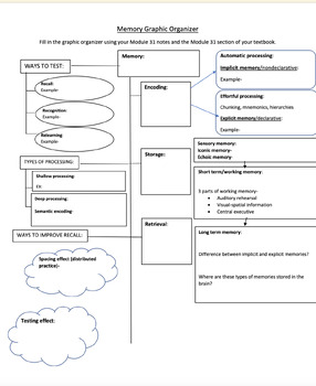 Preview of Types of Memory Graphic Organizer-Myers 3rd Edition Module 31