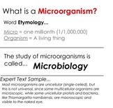 Types of Microorganisms - Introductory Lesson