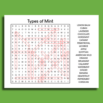 Types of Mint Word Search Puzzle Worksheet Printable by