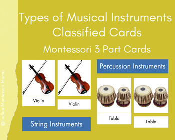 Preview of Types of Musical Instruments Classification - Montessori 3 Part Cards