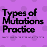 Types of Mutations Practice