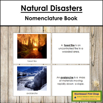 Preview of Types of Natural Disasters Photo Book - Montessori Nomenclature