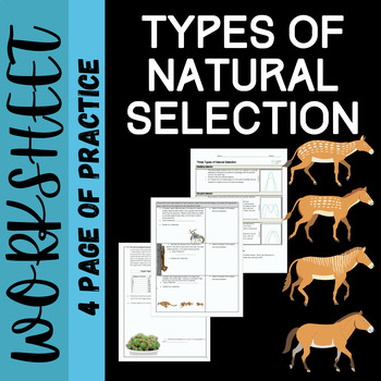 Preview of Types of Natural Selection