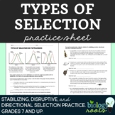 Types of Natural Selection Practice