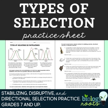 Preview of Types of Natural Selection Practice