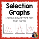Selection Graph Lesson and Task Cards