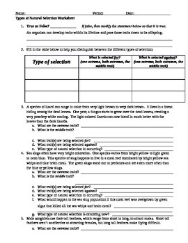 Types of Natural Selection Worksheet by Briana Ransom  TpT