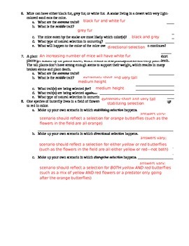 Types of Natural Selection Worksheet by Briana Ransom | TpT