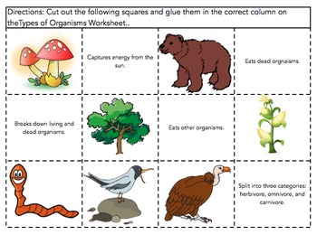 Types of Organisms Sort (Producers, Consumers, Decomposers, & Scavengers)