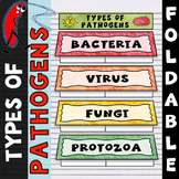 Types of Pathogens Foldable - Great for Interactive Notebooks