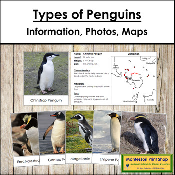 Preview of Types of Penguins - Information, Photo Cards & Location Maps