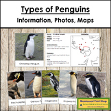 Types of Penguins - Information, Photo Cards & Location Maps