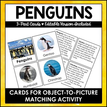 Preview of Types of Penguins - Safari Toob 3 Part Information Cards - Editable