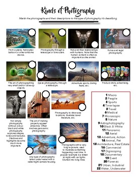 Preview of Types of Photography Careers Genre Worksheet Handout Lesson