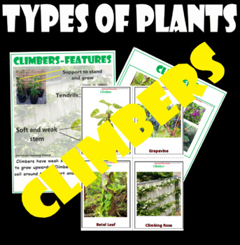 Types of Plants- CLIMBERS - Flash/Task/Sheets Cards with Real Images