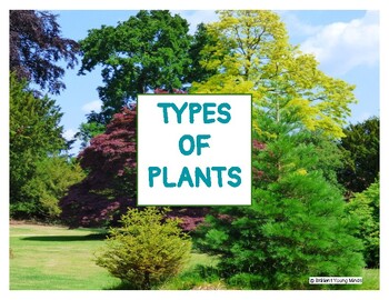 Preview of Types of Plants Information Vocabulary Plant Recognition and Identification