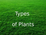 Types of Plants Powerpoint